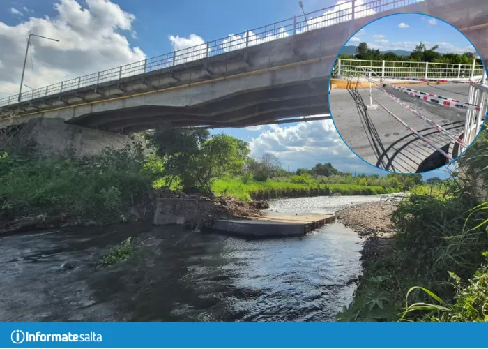 puente santa lucía Linares (1)