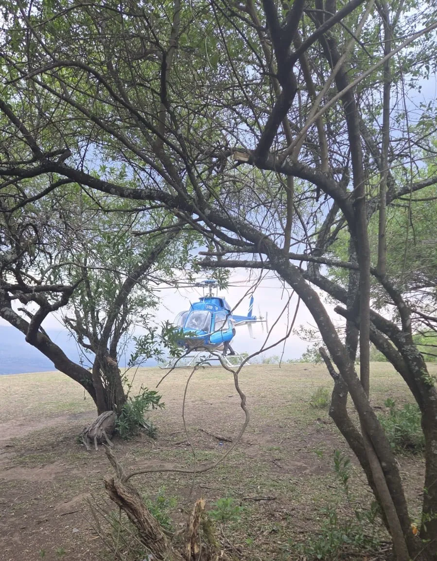 investigación cordeyro