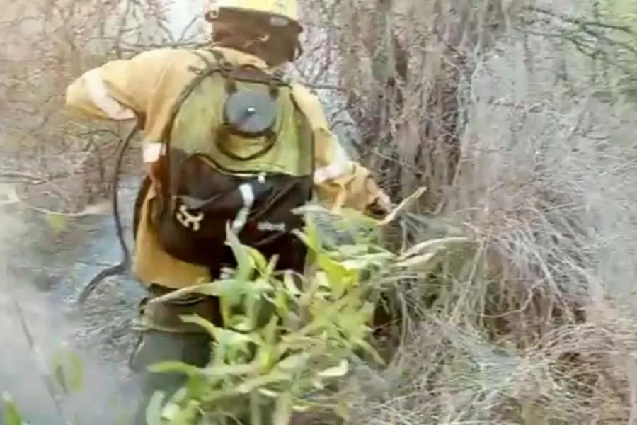 Bomberos incendio forestal