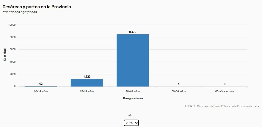cesareas y partos en salta 2024