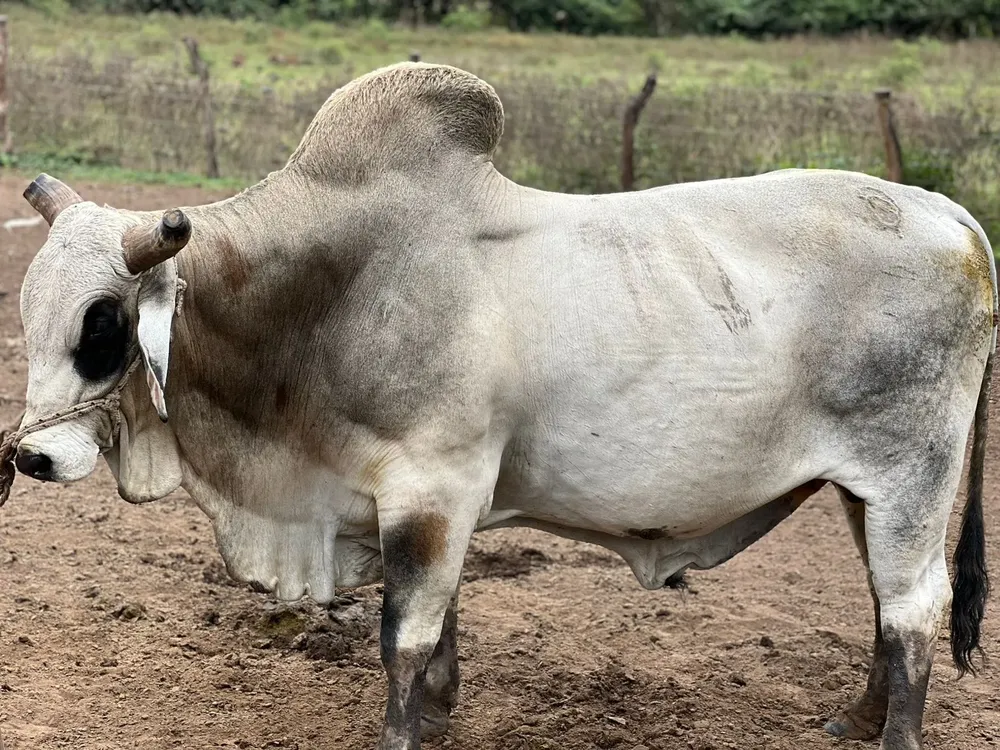 multimedia.grande.871f3f8cc1ba90ff.Z3JhbmRlLndlYnA=