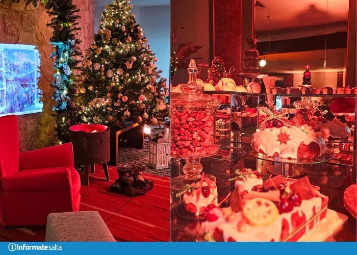 cocaína tartagal gendarmería (6)