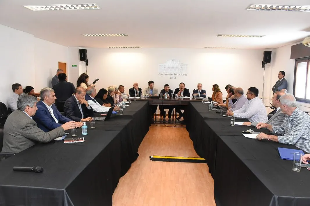 defensoria senado (3)