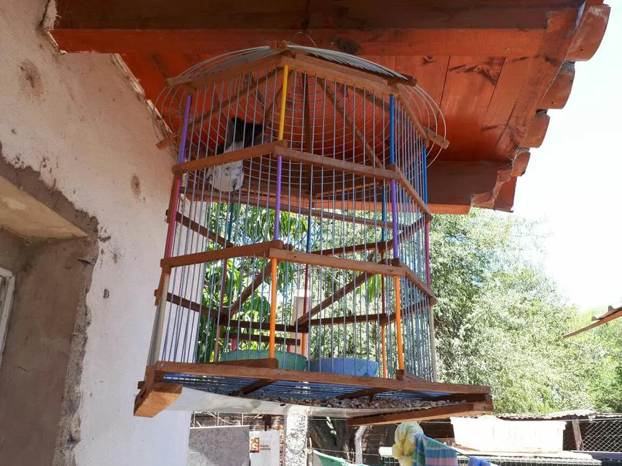 WhatsApp Image 2018-01-05 at 16.06.18