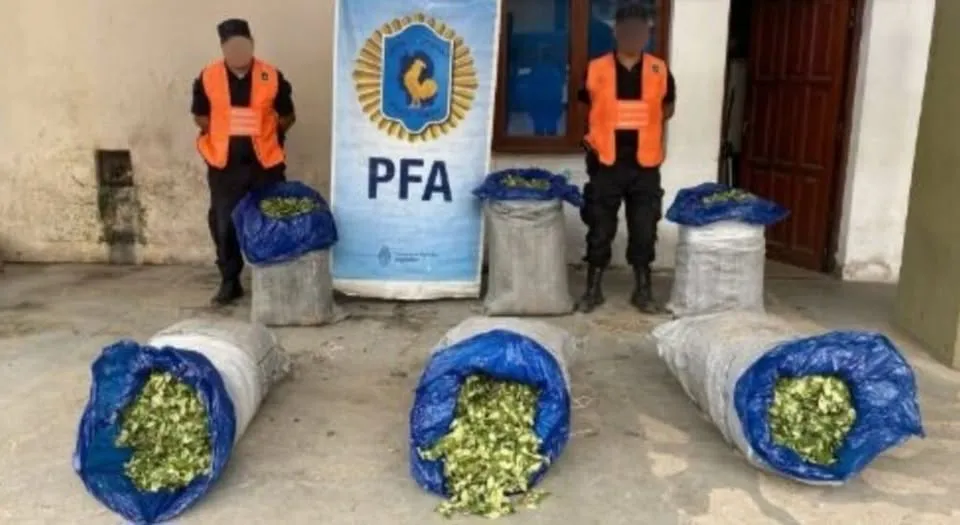 625051902_1408825704591696_2772237038677747074_n