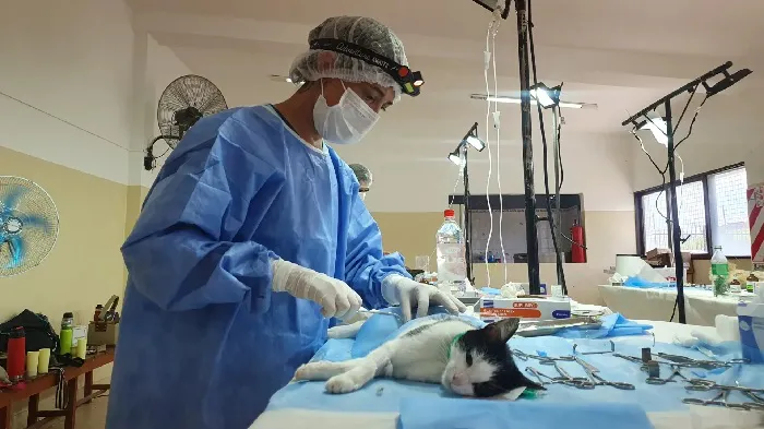 hospital de mascotass