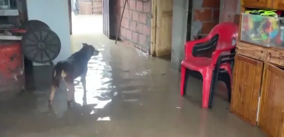 san francisco solano inundacion 3