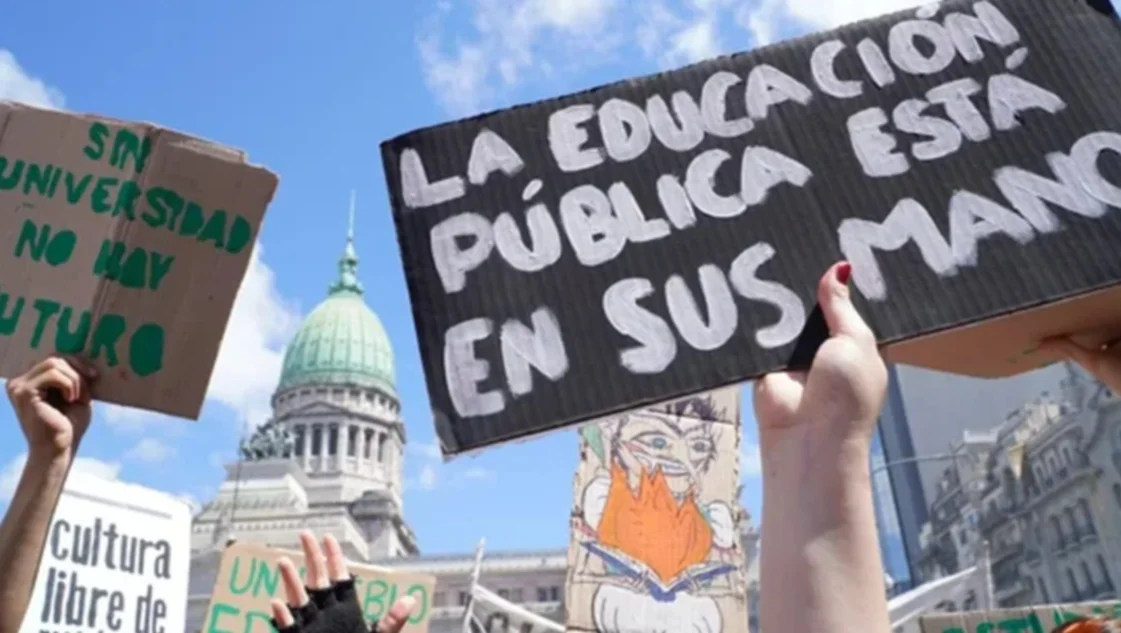 docentes universitarios