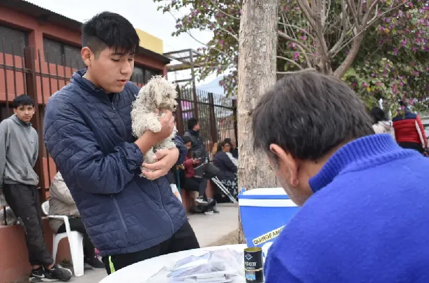 vacunacion antirrabica