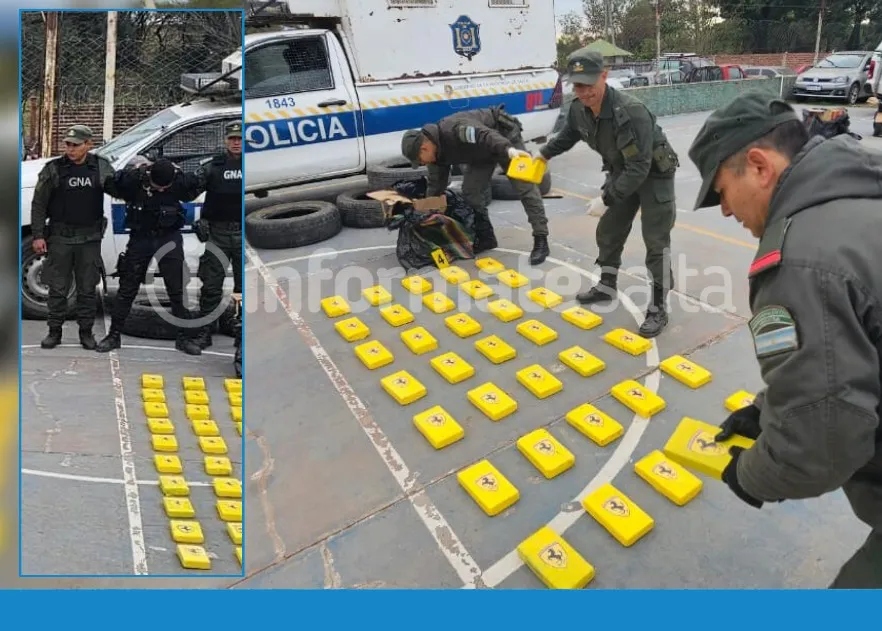 WhatsApp Image 2024-07-10 at 3.09.50 PM