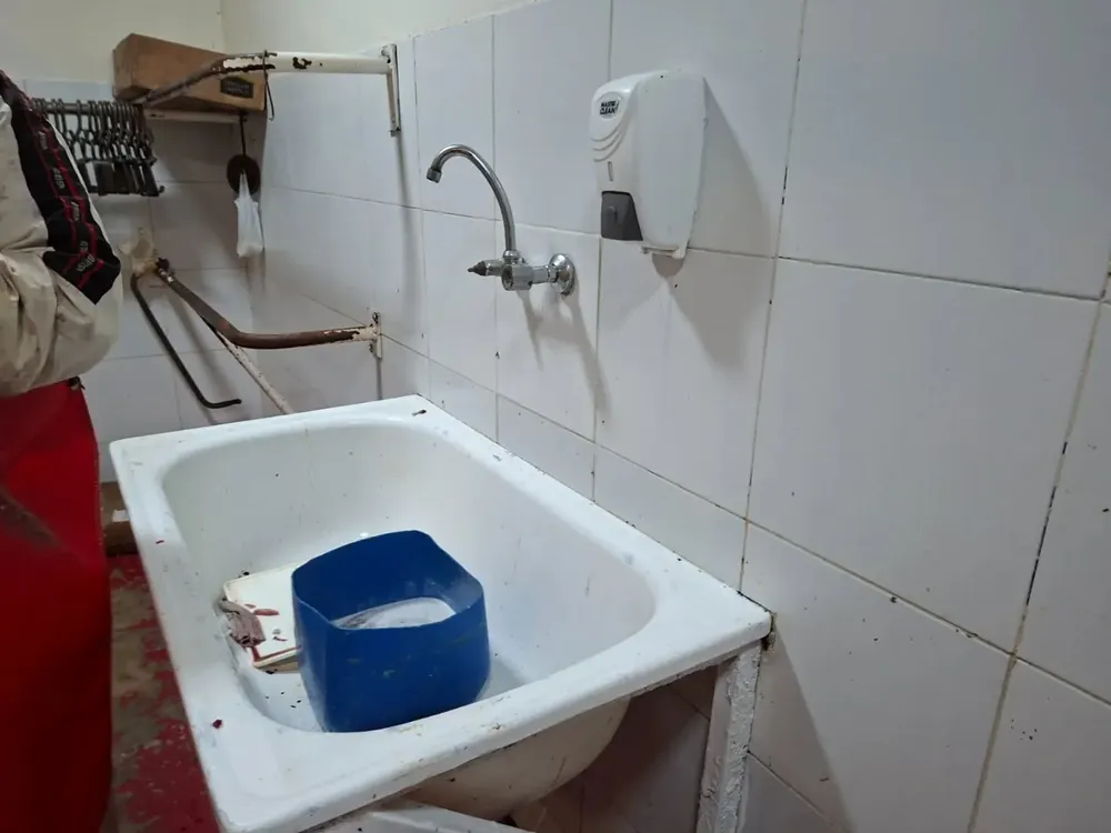 inspección trabajo4