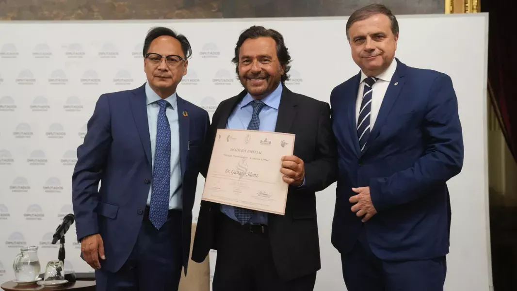 saénz reconocimiento OEA 2