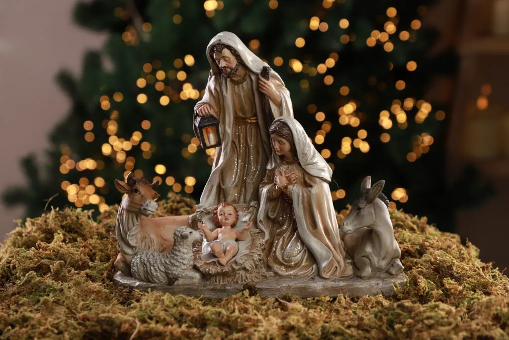 IMG_5125_-DESTACADA-1024x683