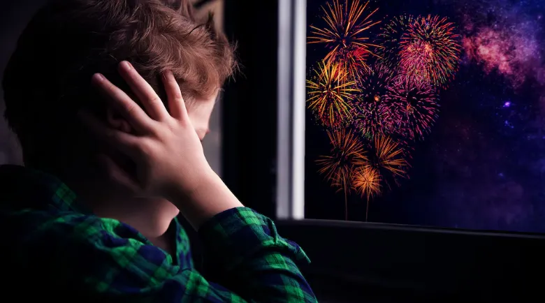 Fuegos Artificiales TEA