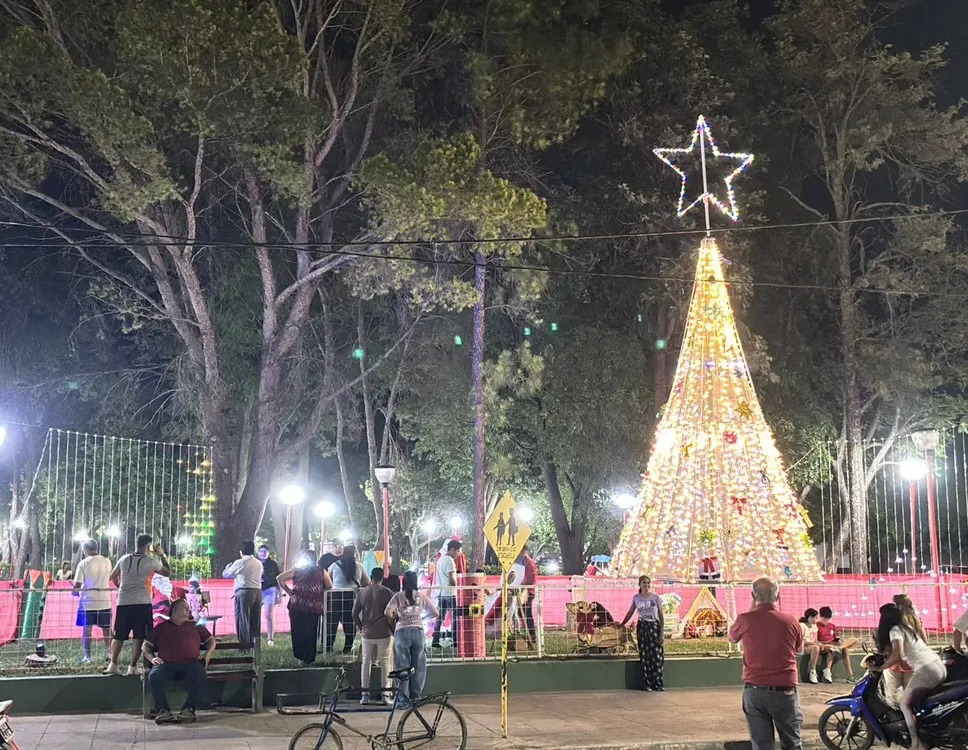 Arbolito Joaquin V Gonzalez