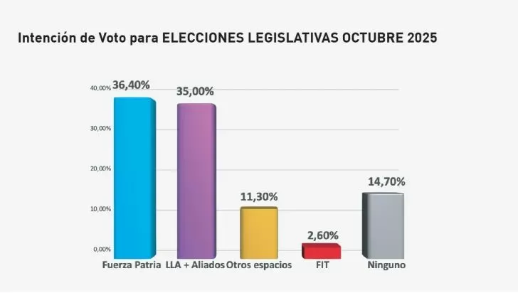 ELECCIONES ENCUESTA