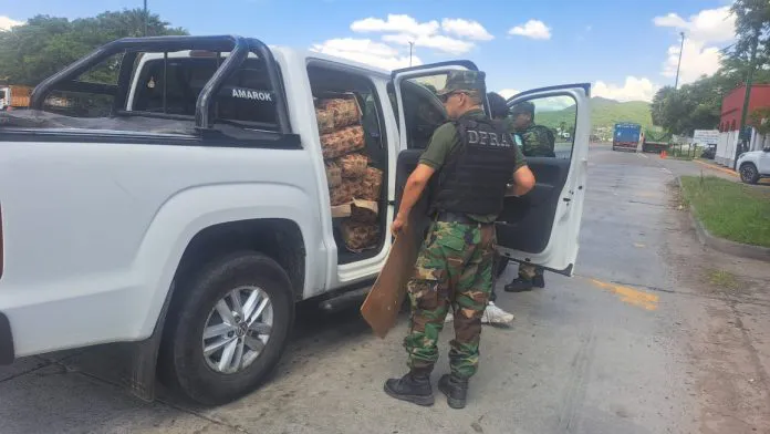 carbón secuestro aunor