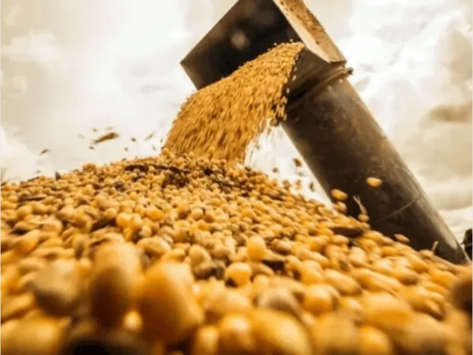 recaudación tributaria