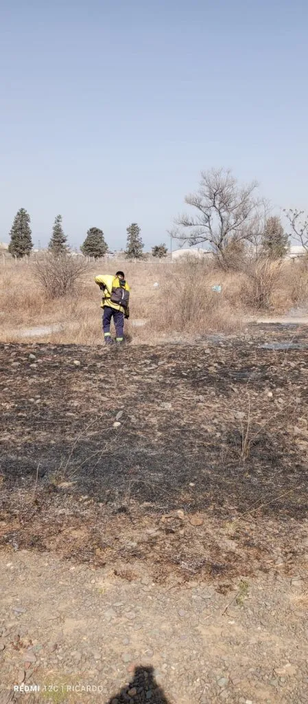 Incendio pastizales 03
