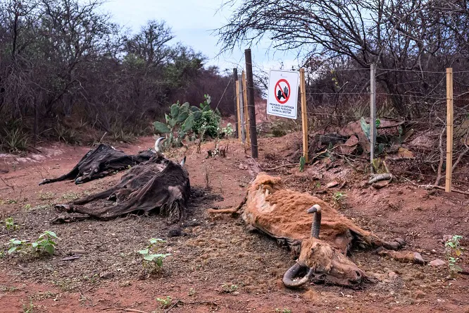 Pozo Petrolero L.O. X-10 en Salta 07 © Martin Katz  Greenpeace