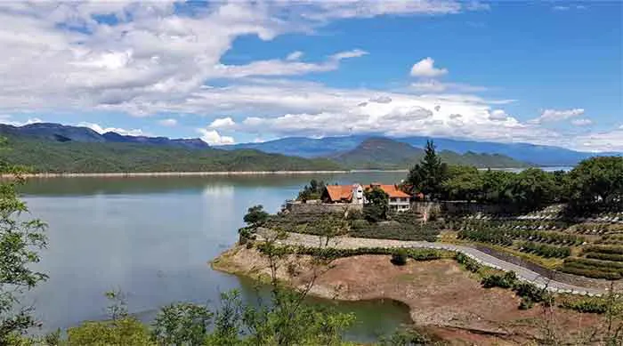 coronel-moldes-salta