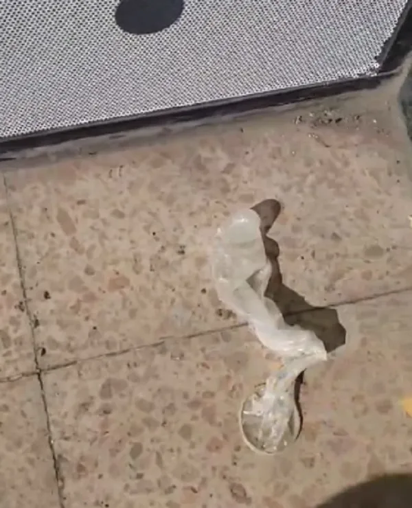 sanluis2-transformed