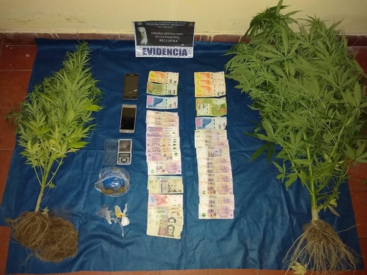 narcotrafico denuncias web 1