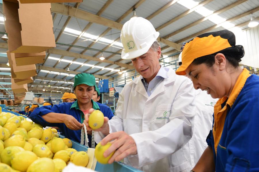 macri limones tucuman