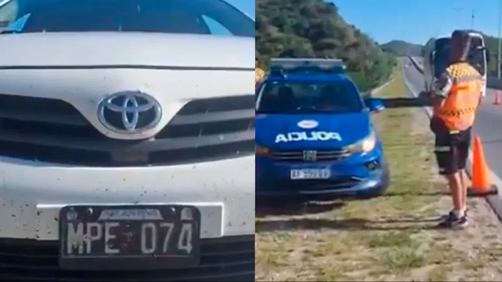 multaron-a-patentes-cordoba