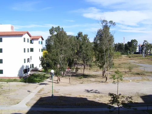 barrio el bosque salta