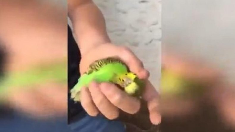 multimedia.normal.983f5de2247f8190.30313332303133303331383131353134325f6f72695f6e6f726d616c2e6a706567