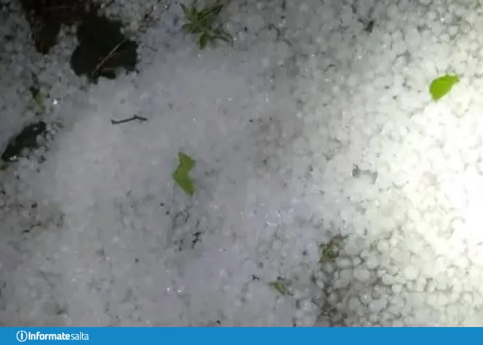 cocaína tartagal gendarmería (1)