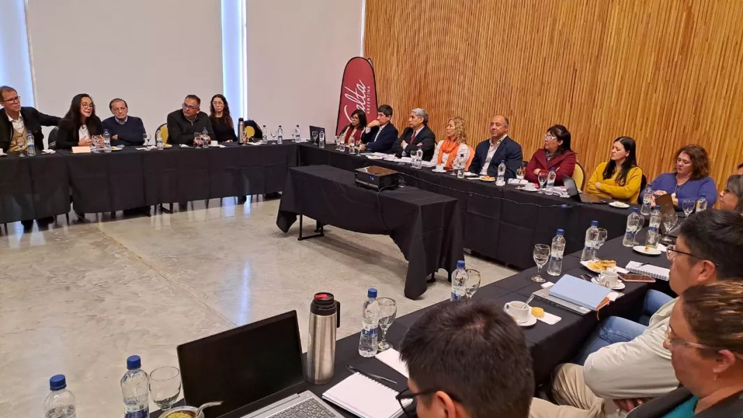 Alivio tributario 03