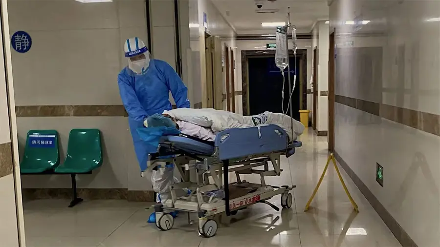 Organización Mundial