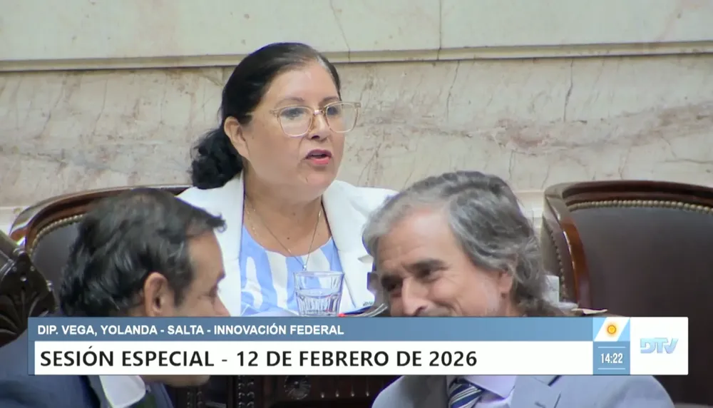 Yolanda Vega diputados