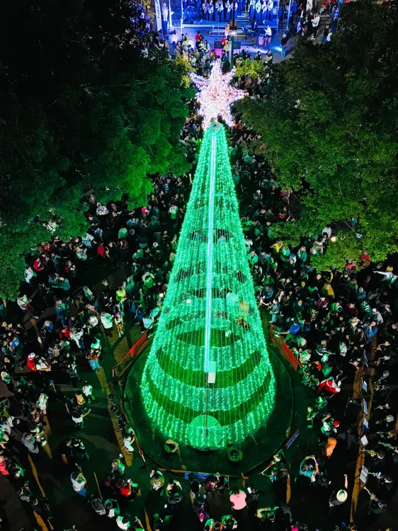 plaza 9 de julio Arbolito