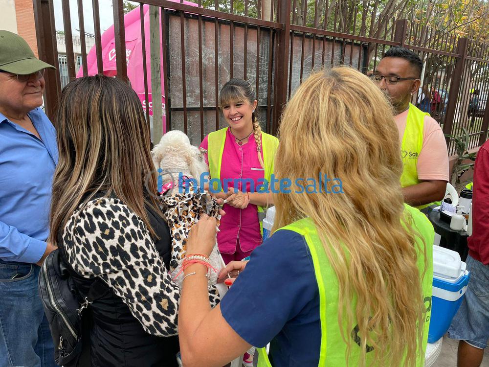 centro de castración