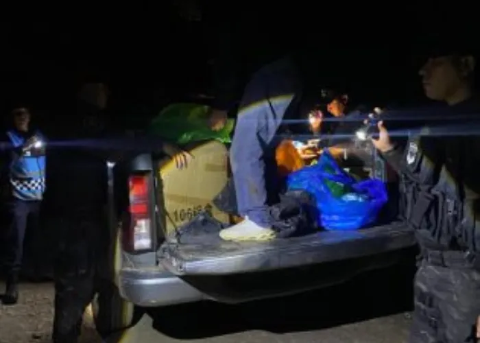 carne de gato carniceria (2)