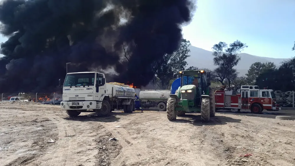 WhatsApp Image 2024-09-19 at 11.50.59