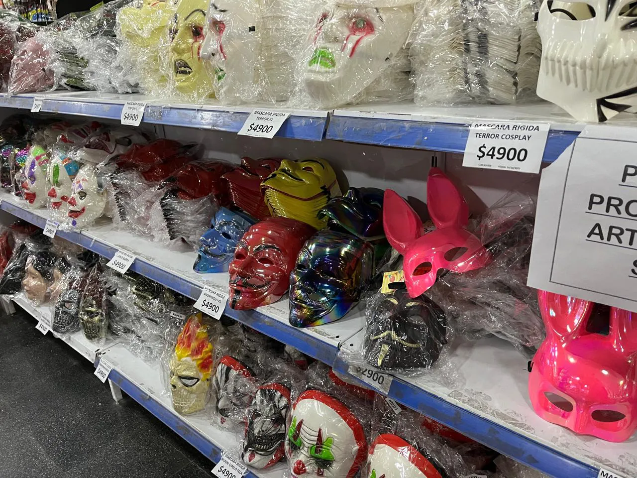 WhatsApp Image 2025-10-27 at 11.13.55 AM