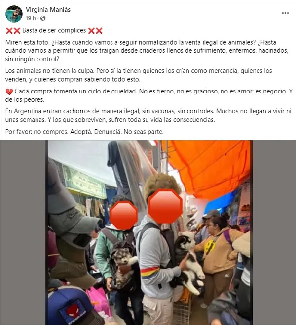 denuncia perros