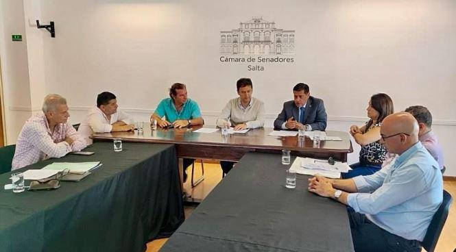 colegio abogados con senadores (1)