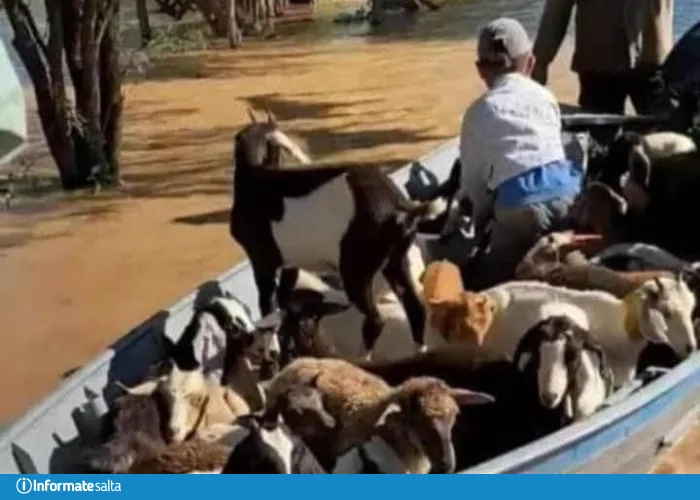 luciano benavides dakar isis (2)