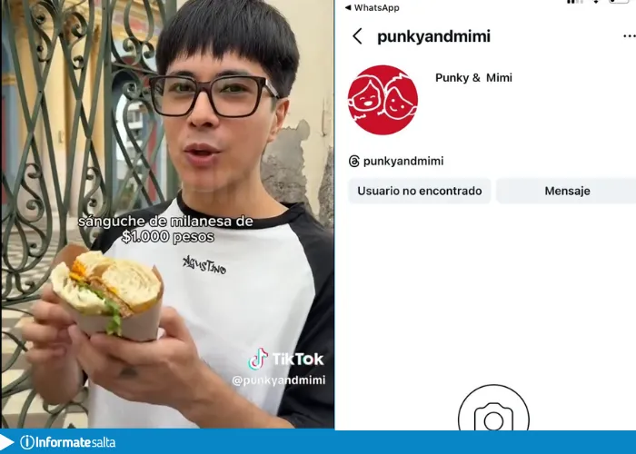 punky sandwich de milanesa