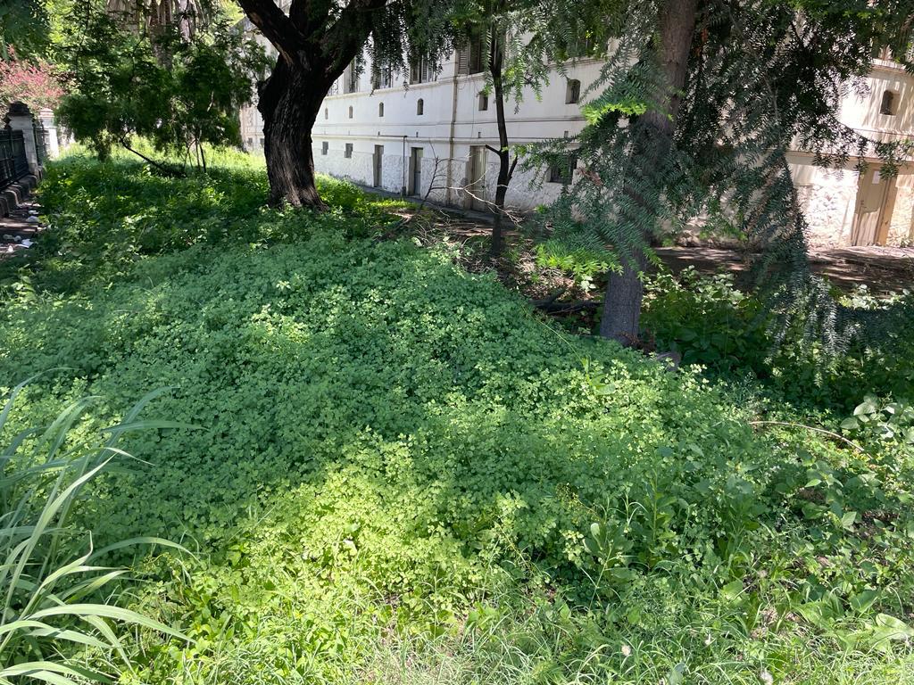 WhatsApp Image 2024-01-26 at 12.28.56