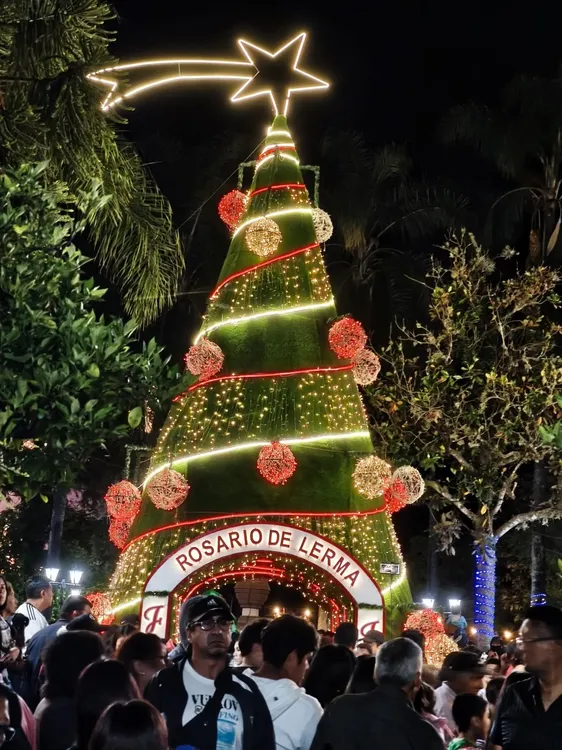 Arbolito Rosario de Lerma