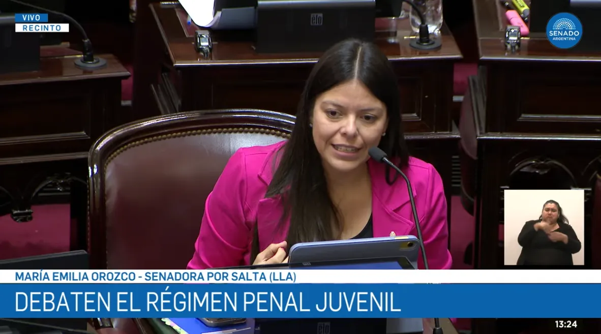 emilia orozco LLA Senado baja en la edad de imputabilidad