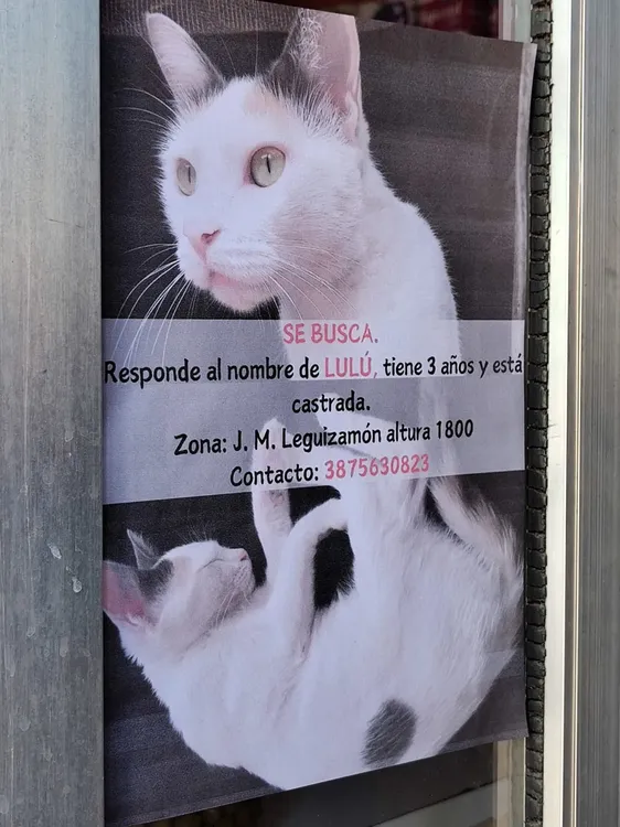 WhatsApp Image 2024-08-29 at 3.00.52 PM