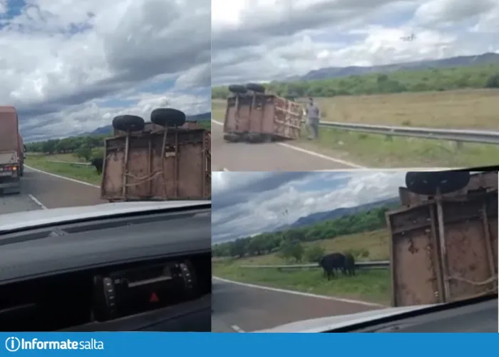 WhatsApp Image 2024-11-26 at 10.11.05