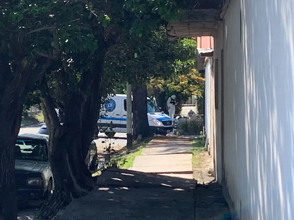 WhatsApp Image 2025-10-31 at 09.47.50